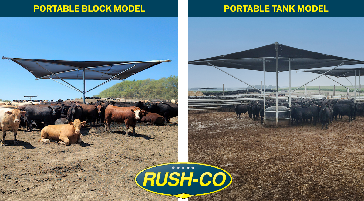 Cattle Shade