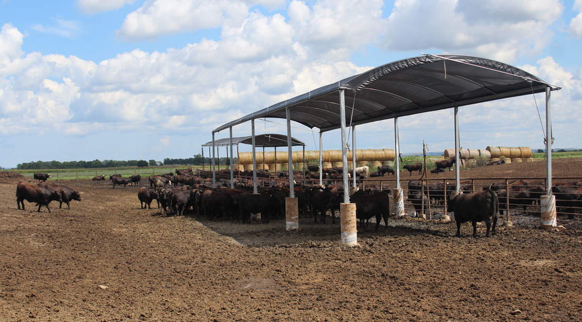 Rush-Co Tailored Covers | Livestock Shade Systems